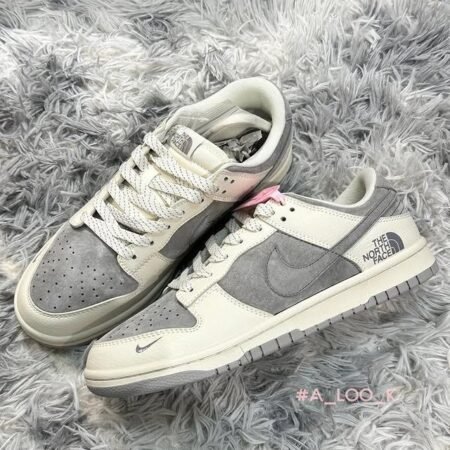 Nike SB Dunk Low North Face 2025