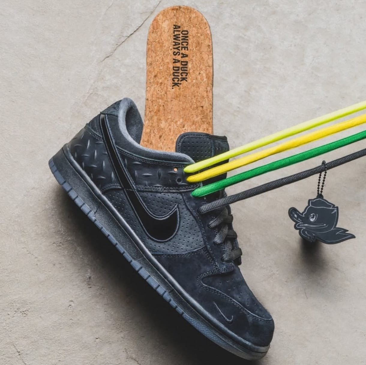 Nike Dunk Low Ducks Of The Feather University Of Oregon - Image 2